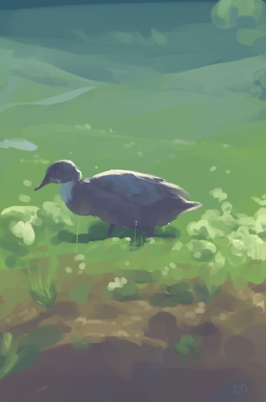 不知名Duck